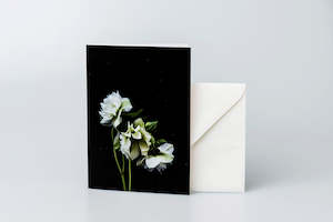 Hb Stationery: White Hellebores Greeting Card