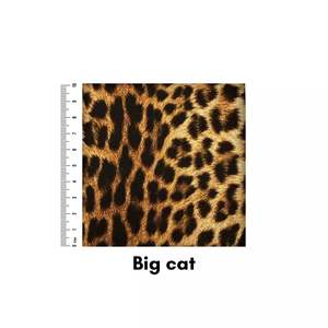 Lining Gallery: Big cat