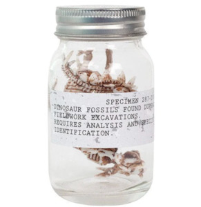 Dino Fossils In a Jar