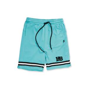 Black Friday: VARSITY SHORT - Mint