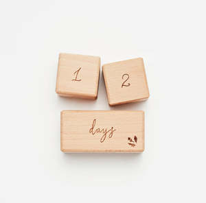 Over The Dandelions: Milestone Wooden Block Set