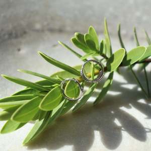 Little Taonga: Fern Huggies