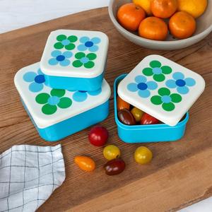 Blue Daisy Snack Boxes