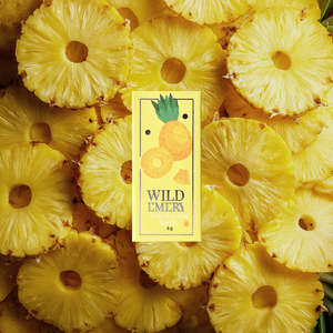 WILD EMERY
PINEAPPLE MINI LIP BALM