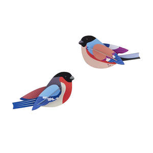 New: Wall Art Garden Birds (B6) Finches