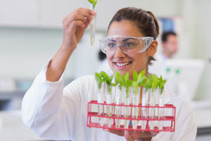 Products: Master Traditional Herbology Degree – Herbal Education