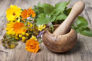 Products: Basic Natural Healthcare – Herbal Education