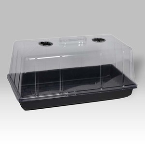 Dome Propagator Large