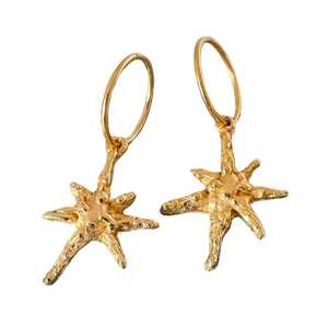 Faerie Star Charm Earrings