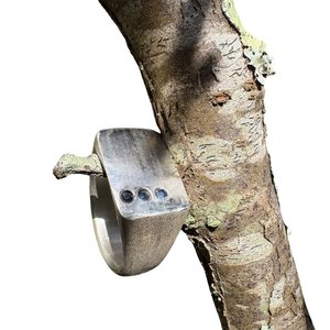 Rings: Custom Rounded Sterling Silver Signet Ring with a line of three Garnets for HG