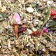 Post-Partum Tea, Organic Herb Nerd NZ
