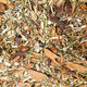 Colds Tea, Organic Herb Nerd NZ