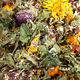 Detox Tea, Organic Herb Nerd NZ