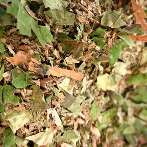 Products: Digestion Tea, Organic Herb Nerd NZ