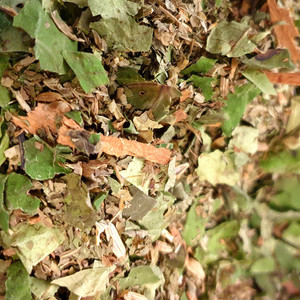 Products: Digestion Tea, Organic Herb Nerd NZ