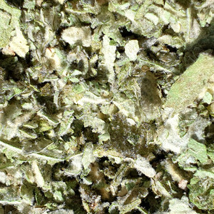 Mullein Leaf Herb Nerd NZ