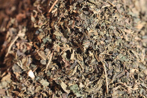 Nettle Tea, Organic Herb Nerd NZ