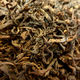 Oolong Tea, Organic Herb Nerd NZ