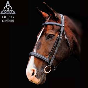 Bliss Bridles: Bliss of London Loxley Ramiro Bridle