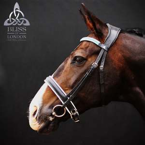 Bliss Bridles: Bliss of London Loxley Contender Bridle
