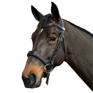 Fairfax Bridles: Fairfax Snaffle Bridle with Narrow Cavesson Noseband