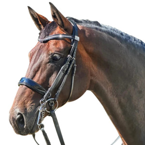 Fairfax Bridles: Fairfax Double Bridle with Patent Cavesson Noseband/Browband