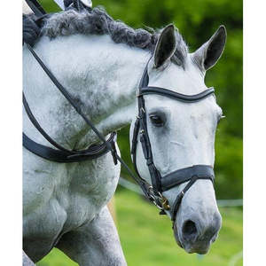 Fairfax Bridles: Fairfax Snaffle Bridle with Flash Noseband