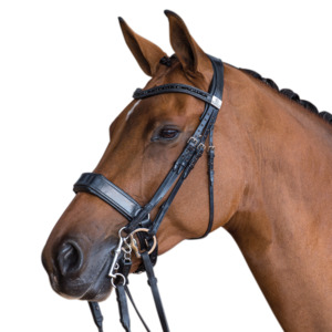 Fairfax Bridles: Fairfax Double Bridle with Cavesson Noseband