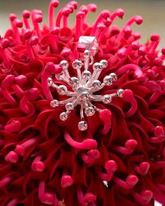 Alison Blain: Pohutukawa Pendant