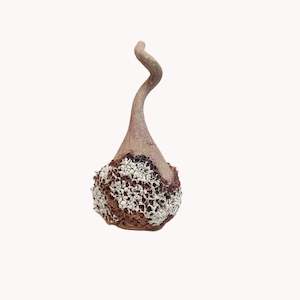 Claire Bryers: Gourdes