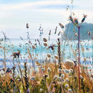 Beach Grasses, Whangamata - Framed