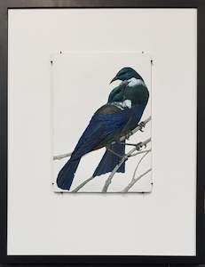 Craig Fletcher: The Suitor