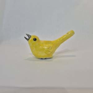 Karen Kennedy: Canary Water Warbler