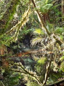 Peter Latham: Deep in the Jungle