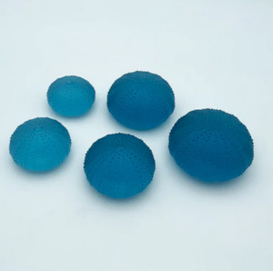 Rebecca Heap: Sea Urchins - No. 1 Really Big - 59mm
