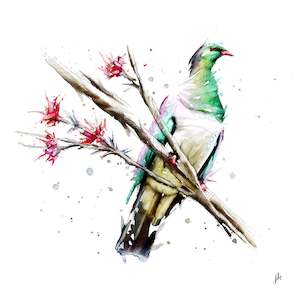 Jeremy Kyle: Kereru - Limited Edition Print - Unframed