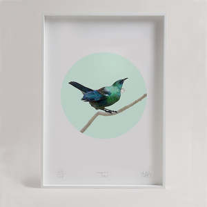 Tui  - Unframed