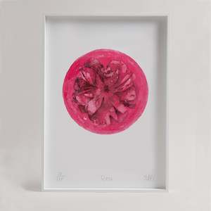 Emily Jane Bayley: Rose  - Unframed
