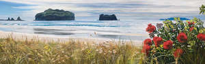 Prints: New Pohutukawa, Whangamata