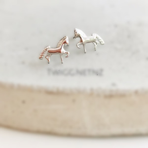 Jewellery: Pony Stud Earrings