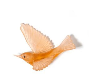 Luke Jacomb Studio: Tauhou / Silvereye - Apricot