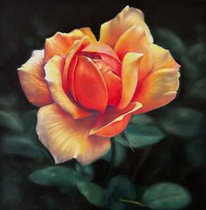 Paintings: Sunset Rose
