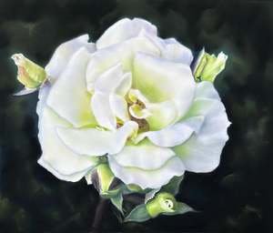 Paintings: Innocence