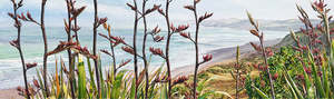 Jane Galloway: Ngarunui From Hopes Lookout