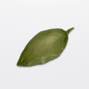 Heliconia Leaf