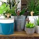Mini Plant Pot Hunks