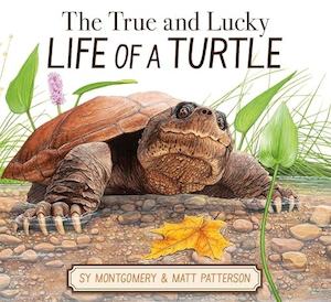 Sy Montgomery: The True and Lucky Life of a Turtle