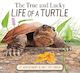 The True and Lucky Life of a Turtle