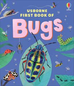 The Usborne First Book of Bugs