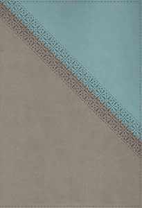 NIV Application Bible, Leathersoft, Teal/Grey, Red Letter, Thumb Indexed, Comfort Print